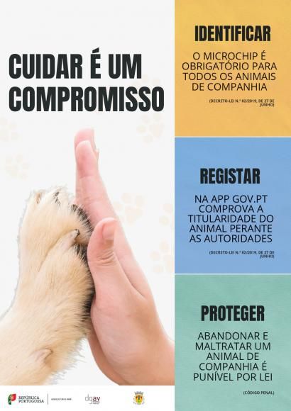 Campanha de Sensibiliza&ccedil;&atilde;o para o Bem-Estar Animal
